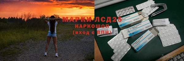 индика Верея