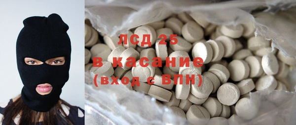 индика Верея