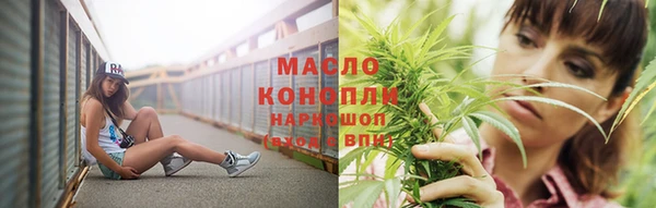 индика Верея