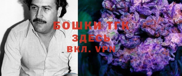 индика Верея
