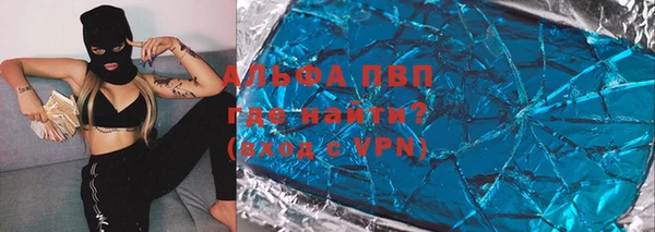 индика Верея
